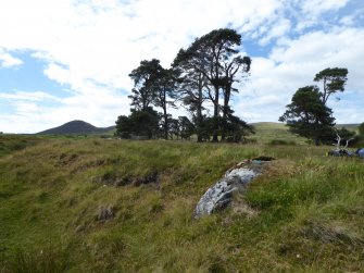 Digital photograph of rock art panel context, Scotland's Rock Art Project, Strath Sgitheach Allt na Criche 6, Highland