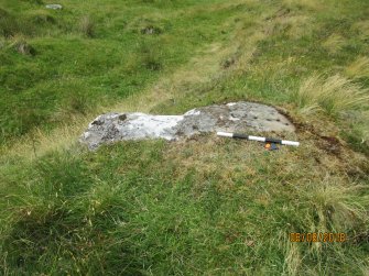 Digital photograph of panel in context with scale, Scotland's Rock Art Project, Strath Sgitheach Allt na Criche 6, Highland