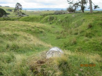 Digital photograph of panel in context without scale, Scotland's Rock Art Project, Strath Sgitheach Allt na Criche 6, Highland