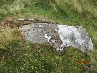 Digital photograph of panel to east, Scotland's Rock Art Project, Strath Sgitheach Allt na Criche 6, Highland