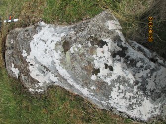 Digital photograph of panel to north, Scotland's Rock Art Project, Strath Sgitheach Allt na Criche 6, Highland