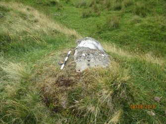 Digital photograph of panel to south, Scotland's Rock Art Project, Strath Sgitheach Allt na Criche 6, Highland