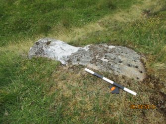 Digital photograph of panel to west, Scotland's Rock Art Project, Strath Sgitheach Allt na Criche 6, Highland