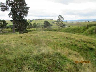 Digital photograph of panorama, Scotland's Rock Art Project, Strath Sgitheach Allt na Criche 6, Highland