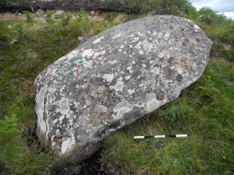 Digital photograph of rock art panel context, Scotland's Rock Art Project, Strath Sgitheach Allt na Criche 7, Highland