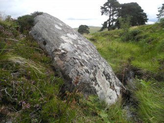 Digital photograph of rock art panel context, Scotland's Rock Art Project, Strath Sgitheach Allt na Criche 7, Highland