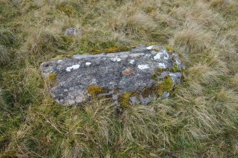 Digital photograph of rock art panel context, Scotland's Rock Art Project, Strath Sgitheach Balnacrae West Lower, Highland