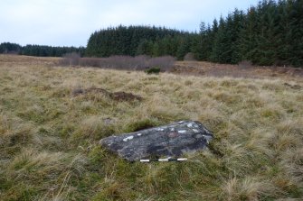 Digital photograph of rock art panel context, Scotland's Rock Art Project, Strath Sgitheach Balnacrae West Lower, Highland