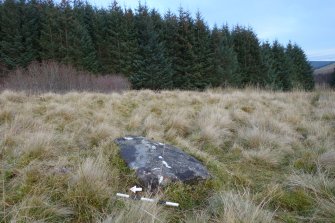 Digital photograph of rock art panel context, Scotland's Rock Art Project, Strath Sgitheach Balnacrae West Lower, Highland