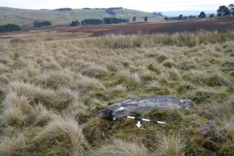 Digital photograph of rock art panel context, Scotland's Rock Art Project, Strath Sgitheach Balnacrae West Lower, Highland