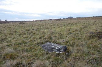 Digital photograph of rock art panel context, Scotland's Rock Art Project, Strath Sgitheach Balnacrae West Lower, Highland