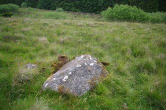 Digital photograph of panel in context with scale, Scotland's Rock Art Project, Strath Sgitheach Balnacrae West Lower, Highland