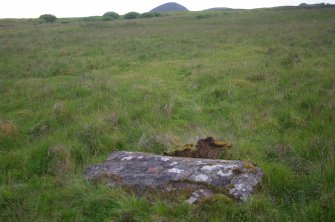 Digital photograph of panel in context without scale, Scotland's Rock Art Project, Strath Sgitheach Balnacrae West Lower, Highland