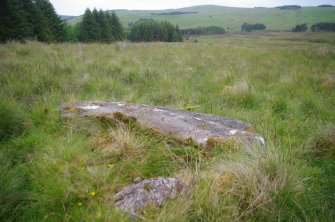 Digital photograph of panel in context without scale, Scotland's Rock Art Project, Strath Sgitheach Balnacrae West Lower, Highland