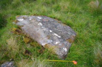 Digital photograph of panel to east, from Scotland's Rock Art Project, Strath Sgitheach Balnacrae West Lower, Highland