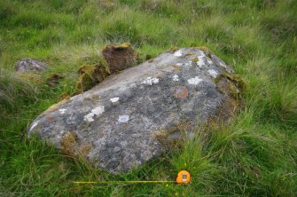 Digital photograph of panel to north, from Scotland's Rock Art Project, Strath Sgitheach Balnacrae West Lower, Highland