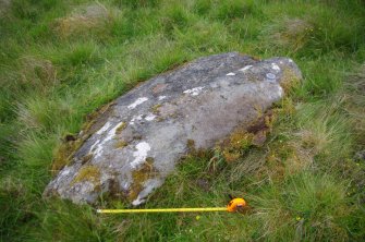 Digital photograph of panel to south, from Scotland's Rock Art Project, Strath Sgitheach Balnacrae West Lower, Highland