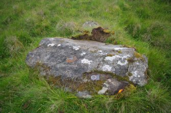 Digital photograph of panel to west, from Scotland's Rock Art Project, Strath Sgitheach Balnacrae West Lower, Highland