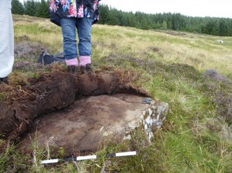 Digital photograph of panel to north, from Scotland's Rock Art Project, Strath Sgitheach Balnacrae West, Highland