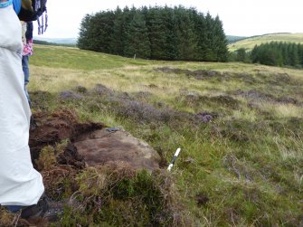 Digital photograph of panel to east, from Scotland's Rock Art Project, Strath Sgitheach Balnacrae West, Highland