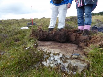 Digital photograph of panel to west, from Scotland's Rock Art Project, Strath Sgitheach Balnacrae West, Highland