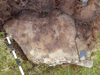 Digital photograph of panel, from Scotland's Rock Art Project, Strath Sgitheach Balnacrae West, Highland