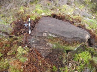 Digital photograph of panel to north, from Scotland's Rock Art Project, Strath Sgitheach Cnoc A' Mhuilinn 4, Highland