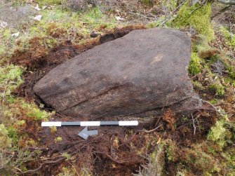 Digital photograph of panel to east, from Scotland's Rock Art Project, Strath Sgitheach Cnoc A' Mhuilinn 4, Highland