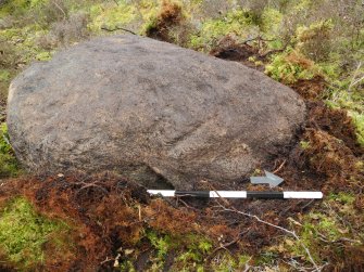 Digital photograph of panel to west, from Scotland's Rock Art Project, Strath Sgitheach Cnoc A' Mhuilinn 4, Highland