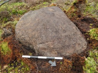 Digital photograph of panel, from Scotland's Rock Art Project, Strath Sgitheach Cnoc A' Mhuilinn 4, Highland