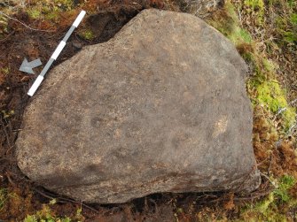 Digital photograph of perpendicular to carved surface(s), from Scotland's Rock Art Project, Strath Sgitheach Cnoc A' Mhuilinn 4, Highland