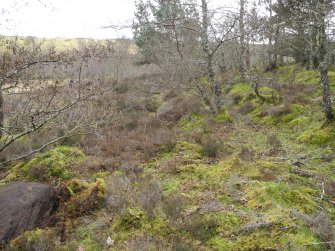 Digital photograph of rock art panel context, Scotland's Rock Art Project, Strath Sgitheach Cnoc A' Mhuilinn 4, Highland