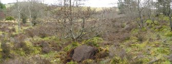 Digital photograph of panorama, from Scotland's Rock Art Project, Strath Sgitheach Cnoc A' Mhuilinn 4, Highland