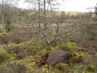 Digital photograph of rock art panel context, Scotland's Rock Art Project, Strath Sgitheach Cnoc A' Mhuilinn 4, Highland