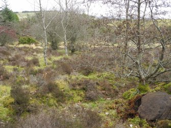 Digital photograph of rock art panel context, Scotland's Rock Art Project, Strath Sgitheach Cnoc A' Mhuilinn 4, Highland