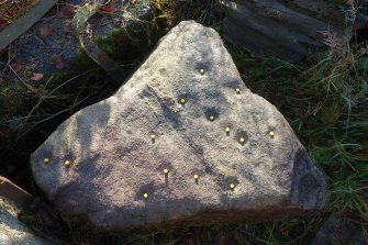 Digital photograph of rock art panel context, Scotland's Rock Art Project, Swordale Farm 1, Highland
