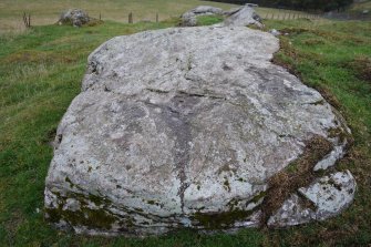 Digital photograph of rock art panel context, Scotland's Rock Art Project, Tordarroch 1, Highland