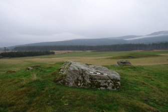 Digital photograph of panel to east, from Scotland's Rock Art Project, Tordarroch 1, Highland