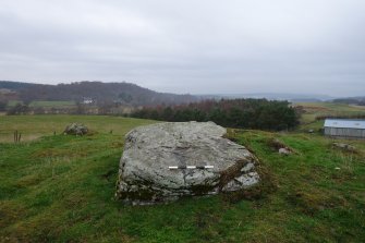 Digital photograph of panel to north, from Scotland's Rock Art Project, Tordarroch 1, Highland