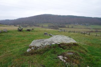 Digital photograph of panel to west, from Scotland's Rock Art Project, Tordarroch 1, Highland