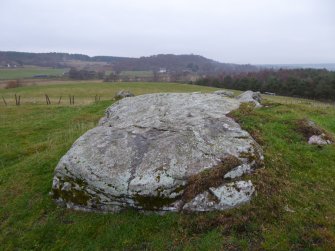 Digital photograph of panel in context without scale, from Scotland's Rock Art Project, Tordarroch 1, Highland