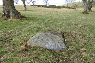 Digital photograph of rock art panel context, Scotland's Rock Art Project, Uplands 1, Highland
