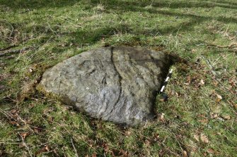 Digital photograph of rock art panel context, Scotland's Rock Art Project, Uplands 1, Highland