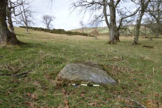 Digital photograph of panel to north, from Scotland's Rock Art Project, Uplands 1, Highland