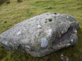 Digital photograph of rock art panel context, Scotland's Rock Art Project, Urchany 3, Highland