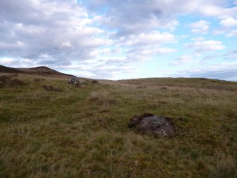 Digital photograph of rock art panel context, Scotland's Rock Art Project, Urchany 3, Highland