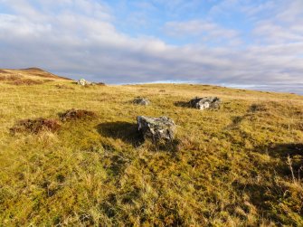 Digital photograph of panel to east, Scotland's Rock Art Project, Urchany 3, Highland