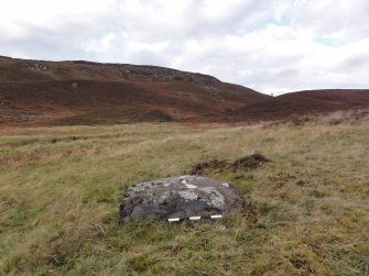 Digital photograph of panel to north, Scotland's Rock Art Project, Urchany 3, Highland