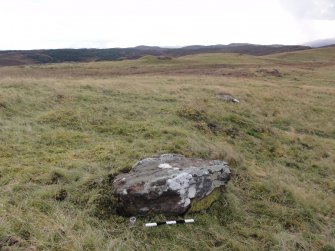 Digital photograph of panel to south, Scotland's Rock Art Project, Urchany 3, Highland