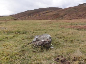 Digital photograph of panel to west, Scotland's Rock Art Project, Urchany 3, Highland